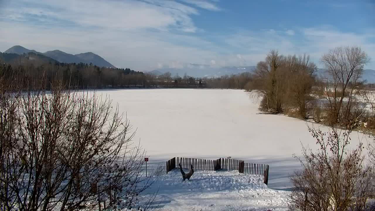 Webcam Ribnik Vrbje – Žalec