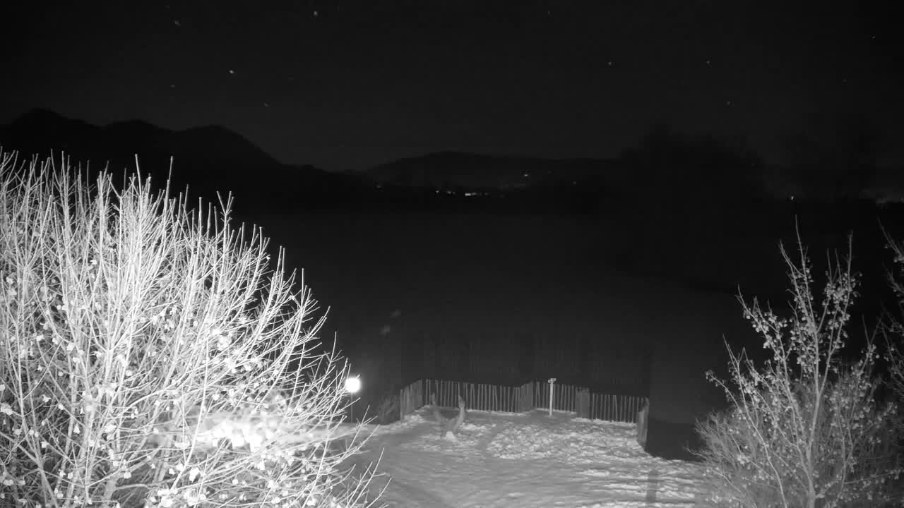 Webcam Ribnik Vrbje – Žalec