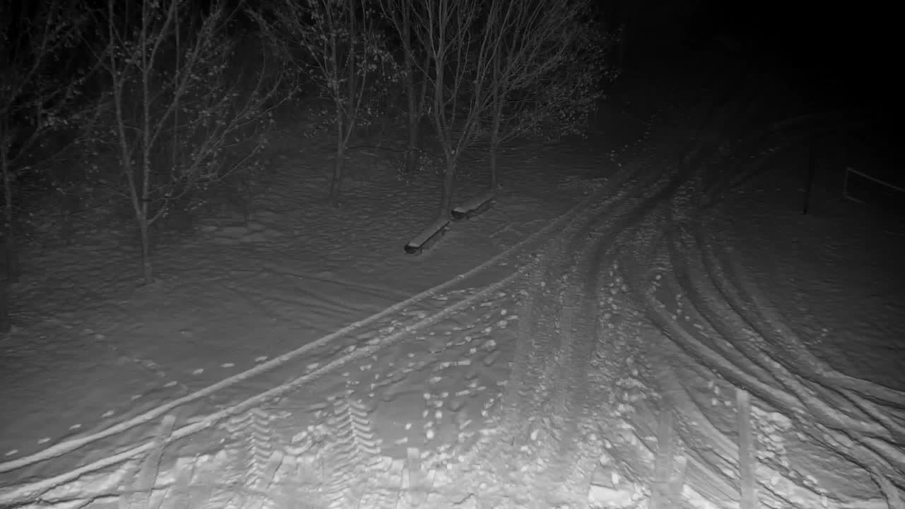 Spletna kamera Ribnik Vrbje – Žalec