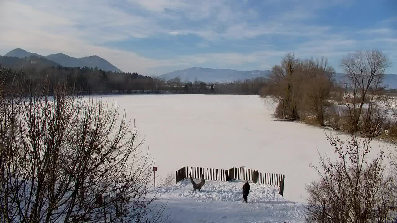 Spletna kamera Ribnik Vrbje – Žalec