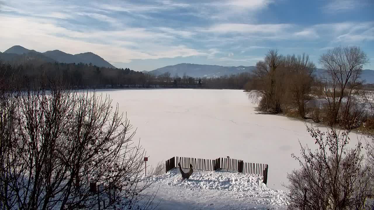 Webcam Ribnik Vrbje – Žalec