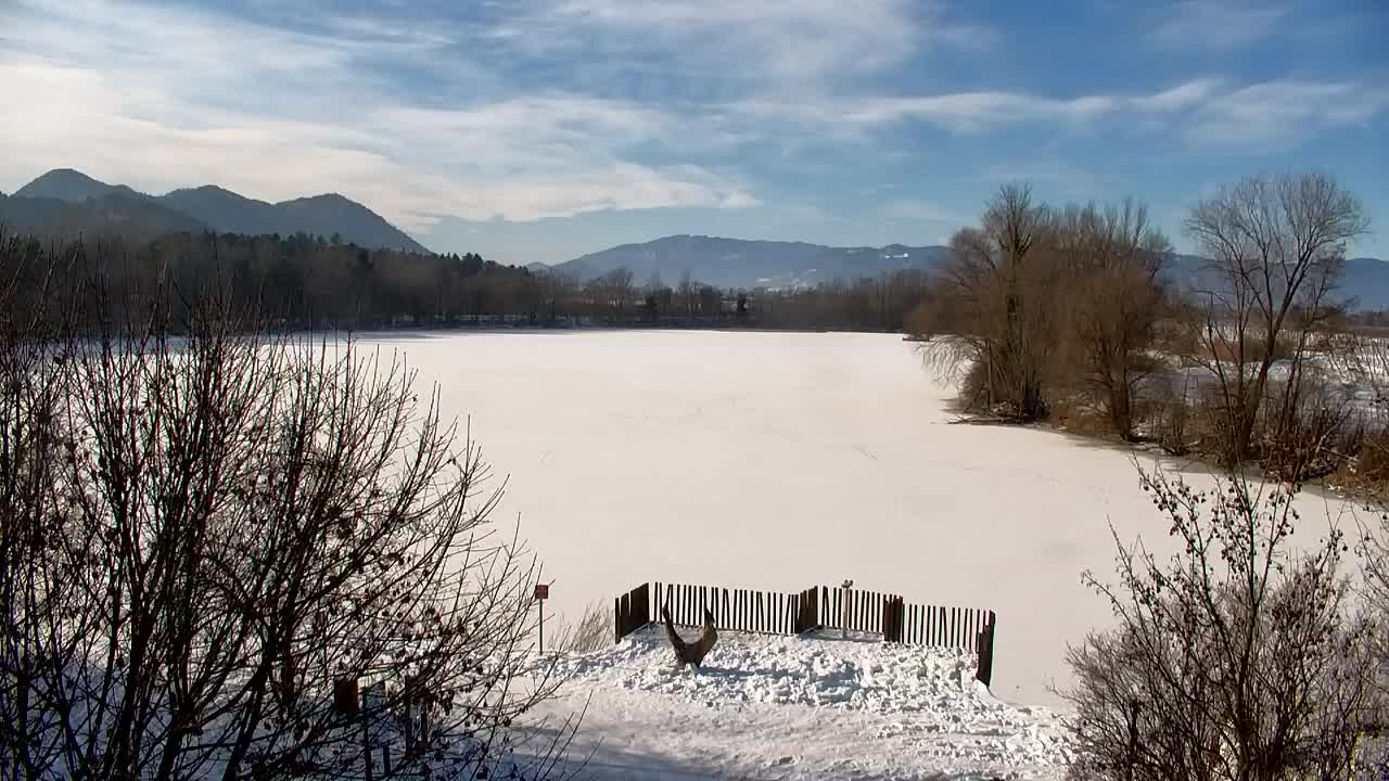 Spletna kamera Ribnik Vrbje – Žalec