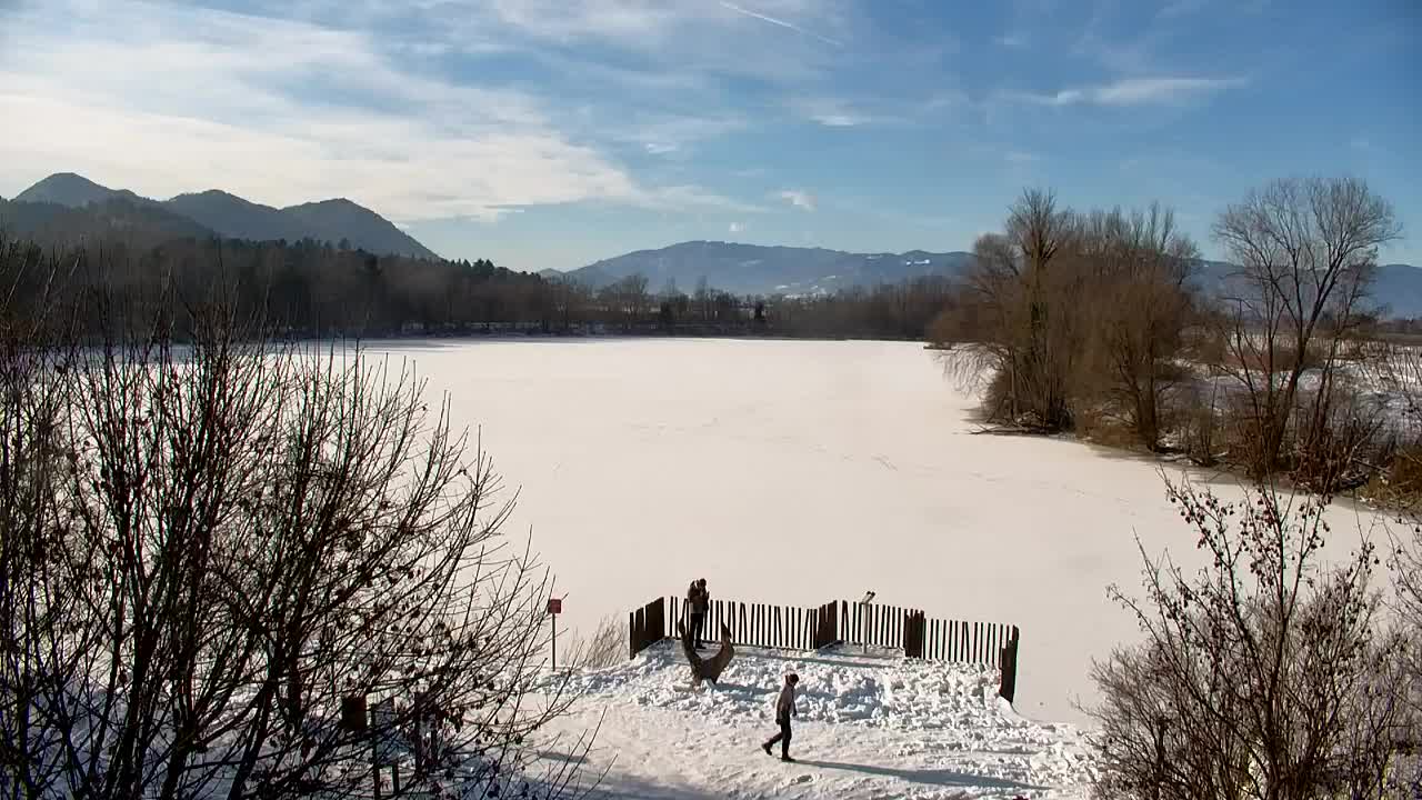 Webcam Ribnik Vrbje – Žalec