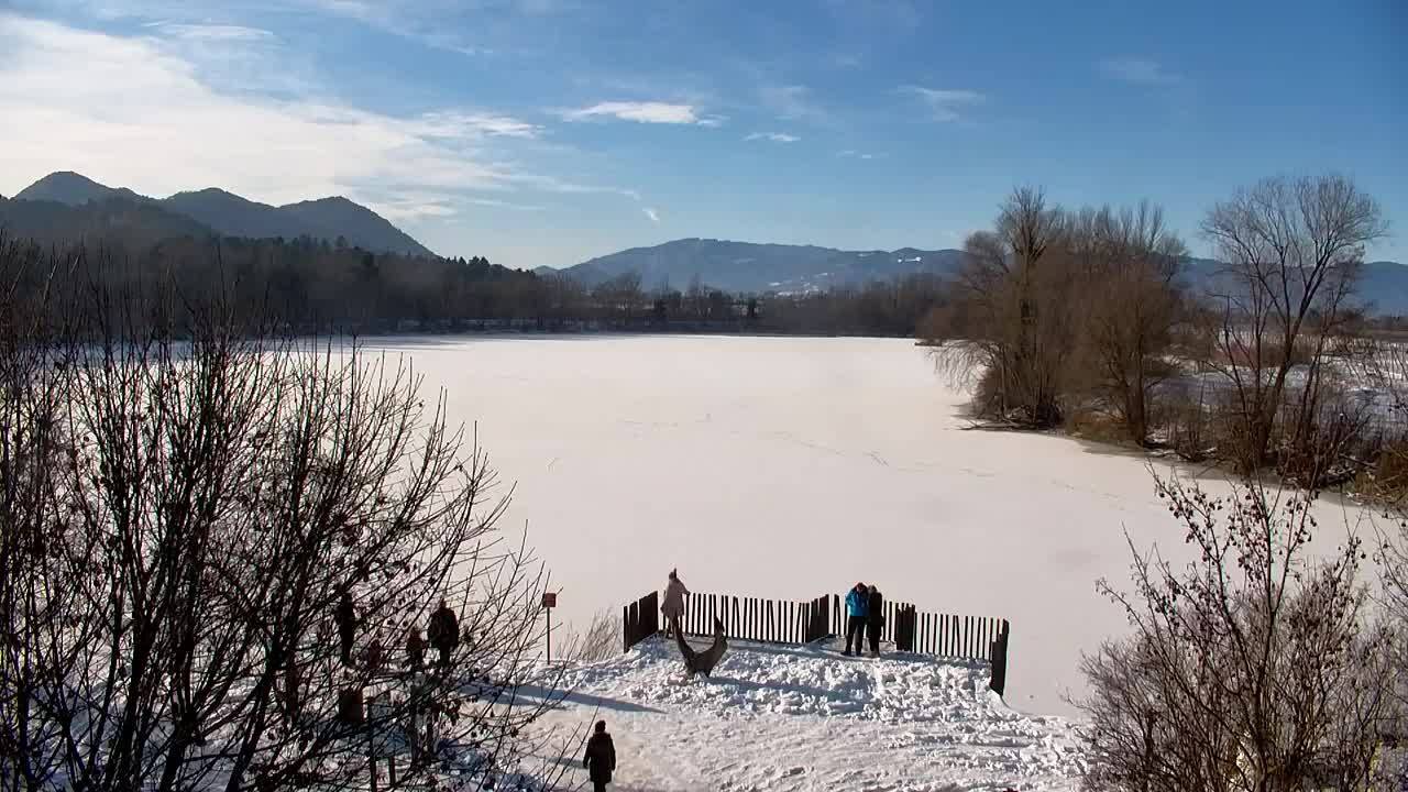 Webcam Ribnik Vrbje – Žalec