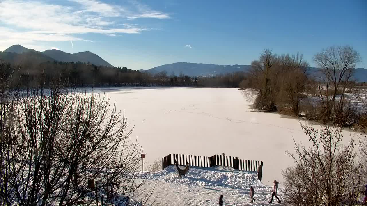 Spletna kamera Ribnik Vrbje – Žalec