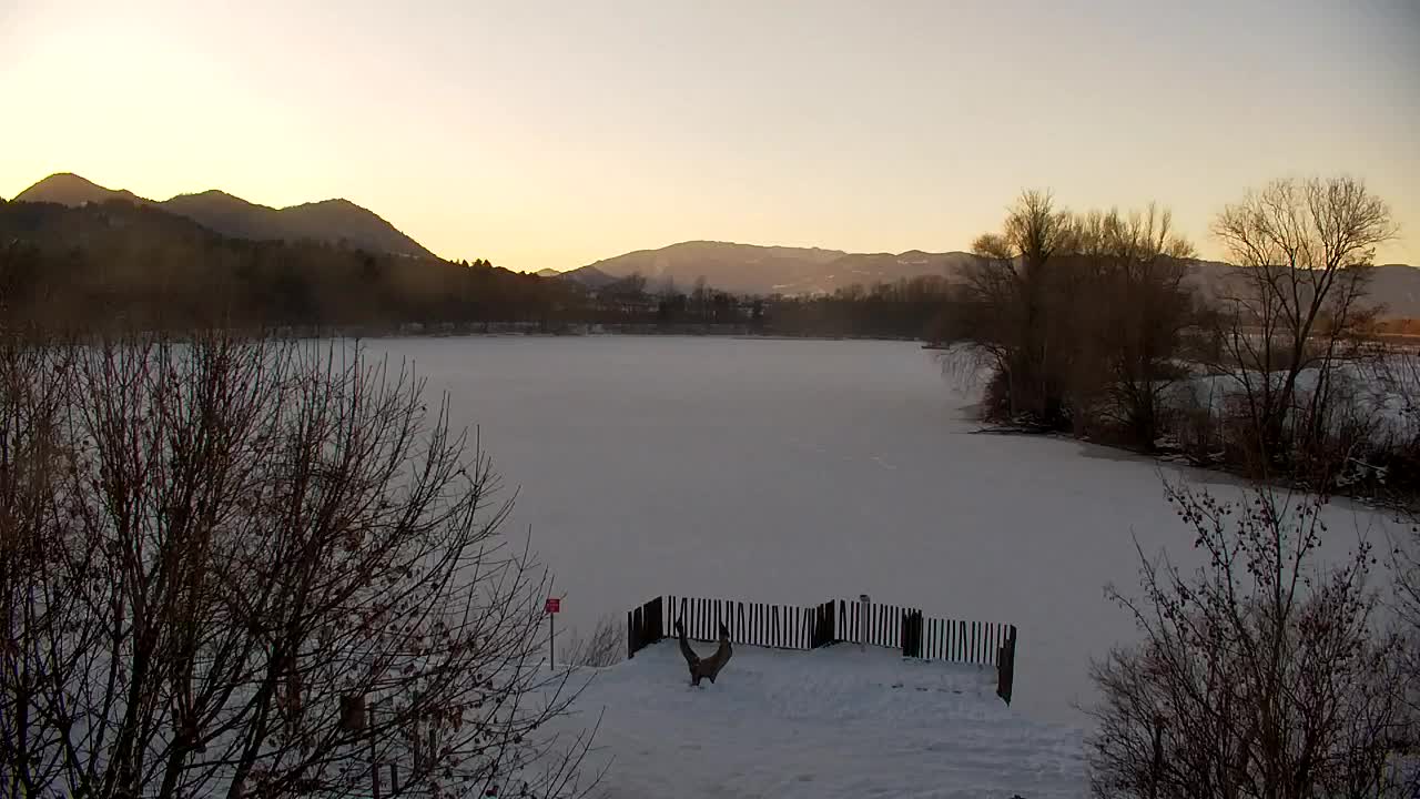 Spletna kamera Ribnik Vrbje – Žalec