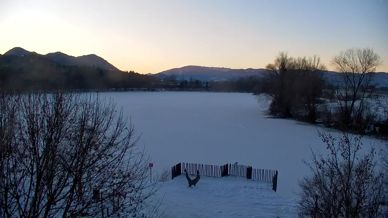 Webcam Ribnik Vrbje – Žalec