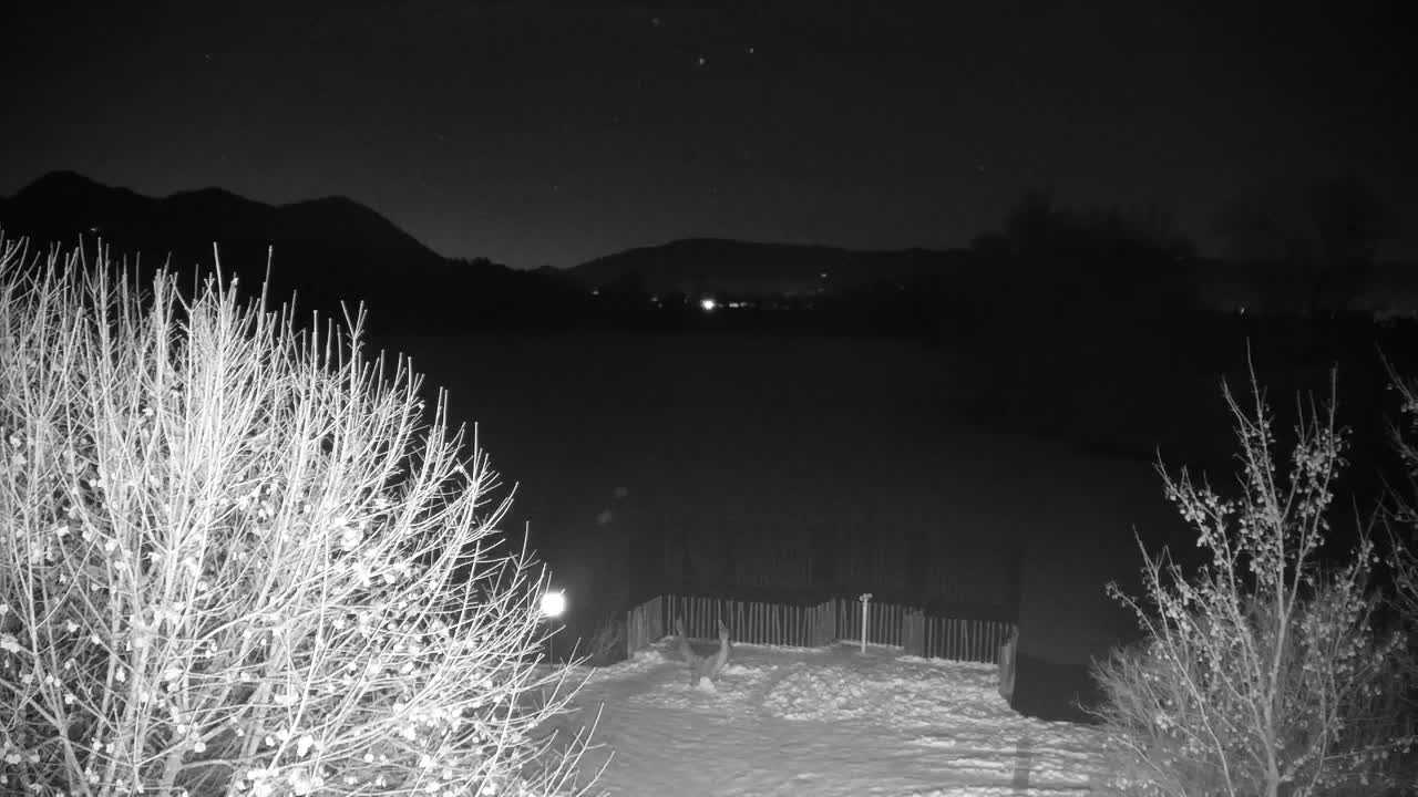 Web kamera Ribnik Vrbje – Žalec