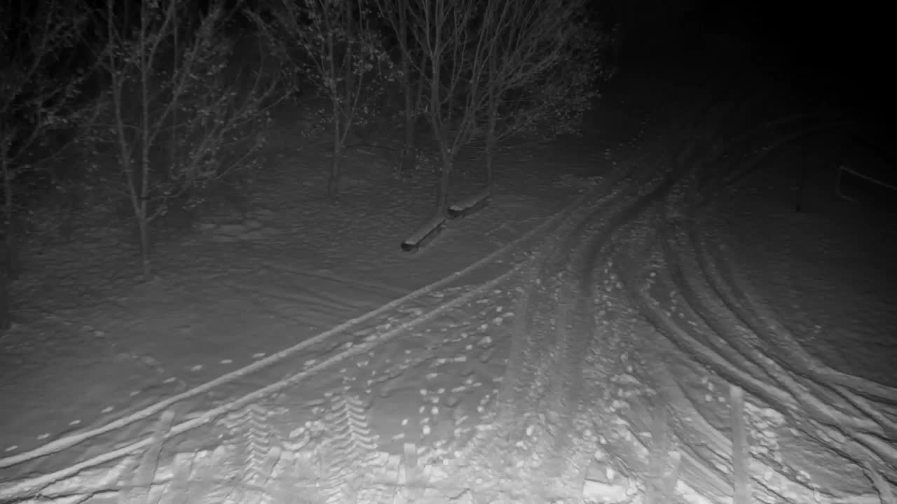 Webcam Ribnik Vrbje – Žalec