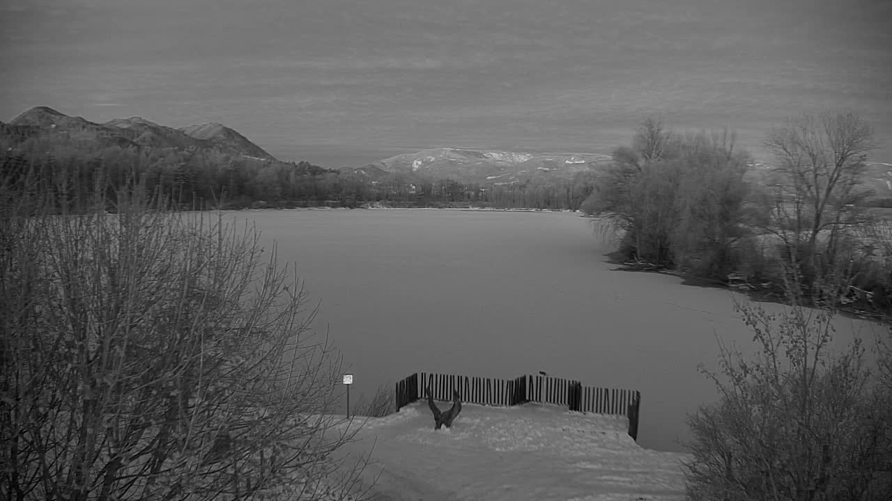 Webcam Ribnik Vrbje – Žalec