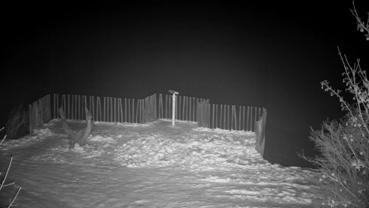 Webcam Ribnik Vrbje – Žalec