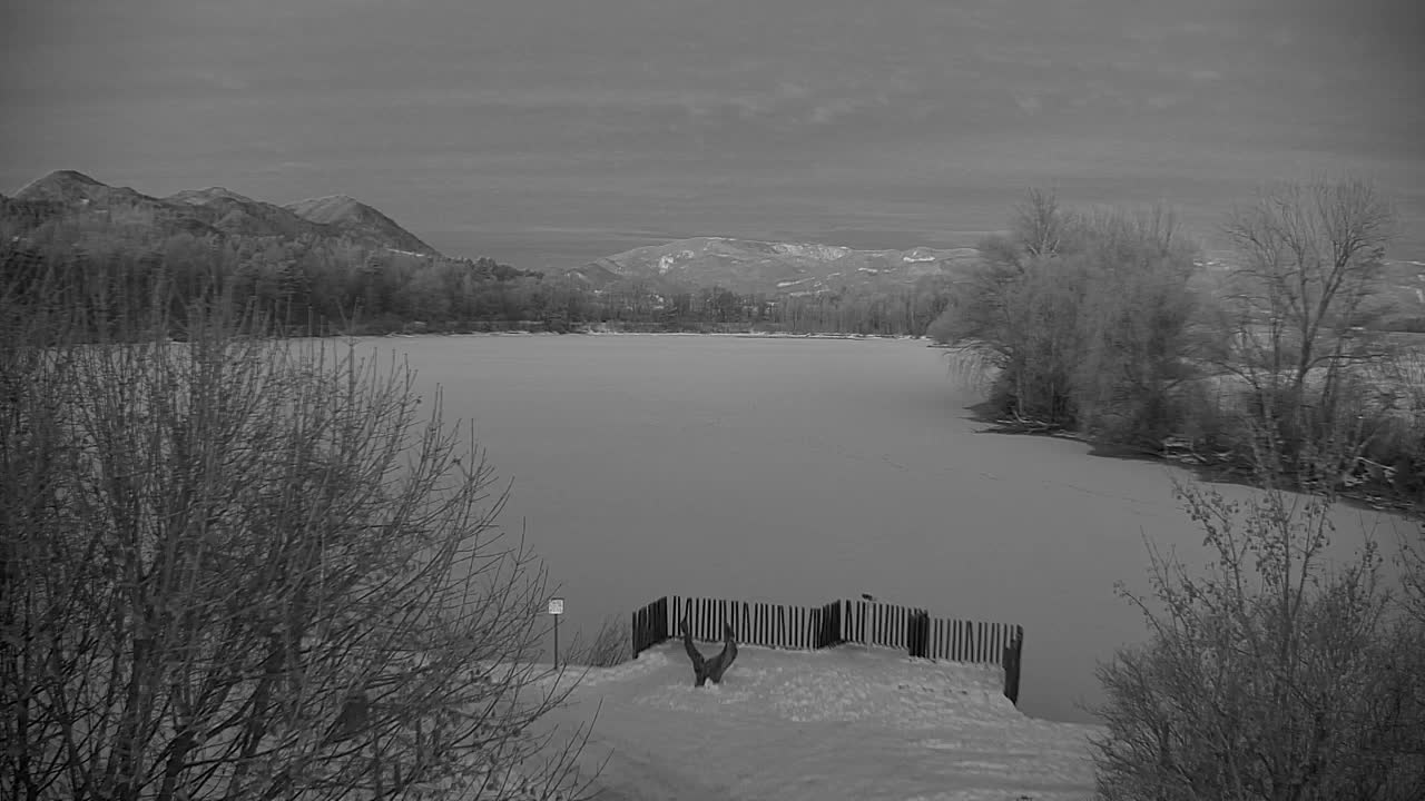 Webcam Ribnik Vrbje – Žalec