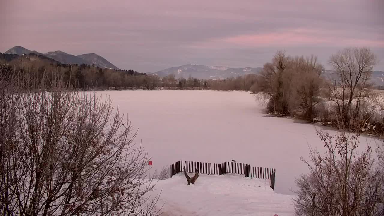 Webcam Ribnik Vrbje – Žalec