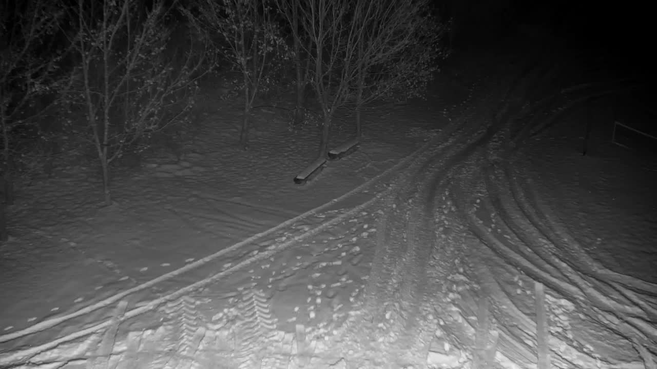 Webcam Ribnik Vrbje – Žalec