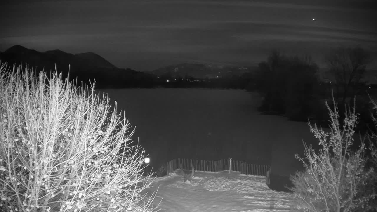 Webcam Ribnik Vrbje – Žalec