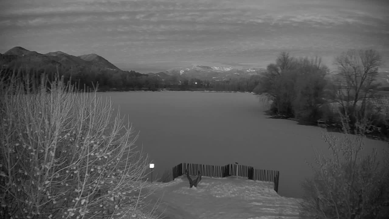 Webcam Ribnik Vrbje – Žalec