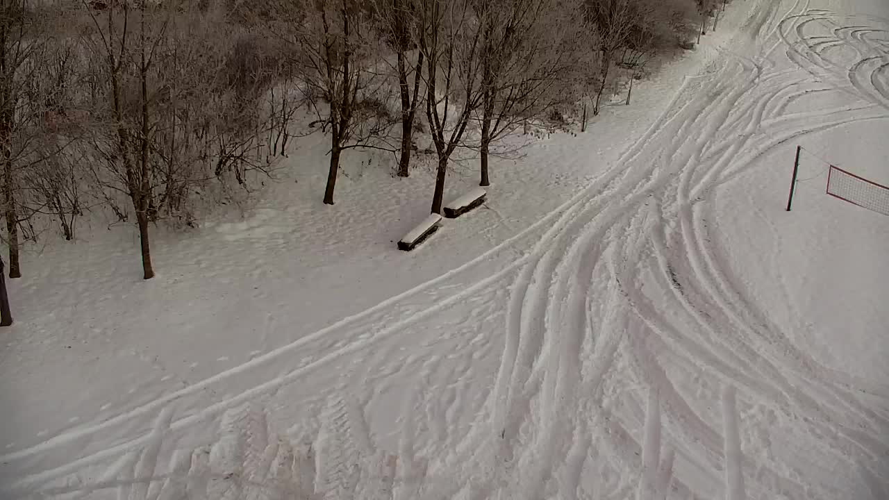 Webcam Ribnik Vrbje – Žalec