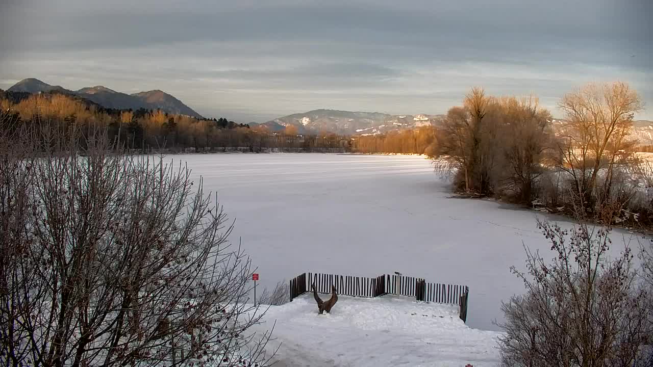 Webcam Ribnik Vrbje – Žalec
