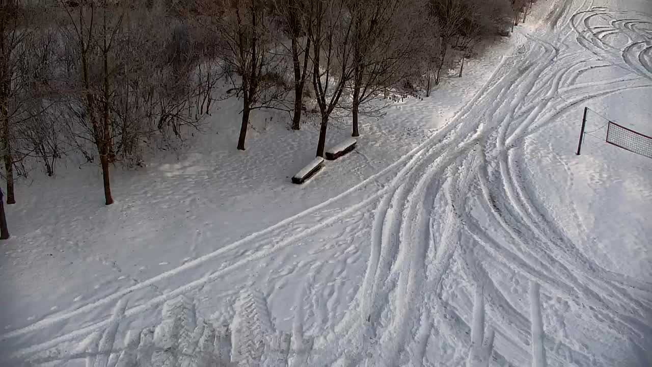 Web kamera Ribnik Vrbje – Žalec