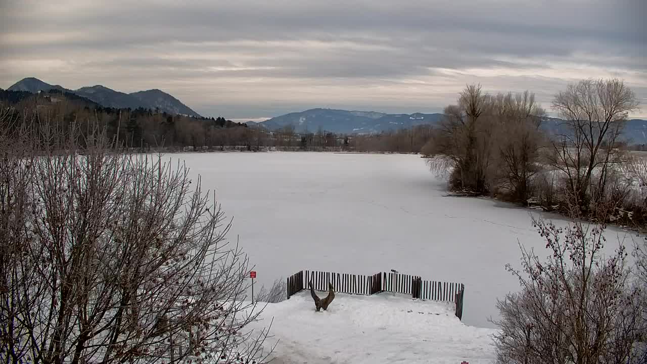 Webcam Ribnik Vrbje – Žalec