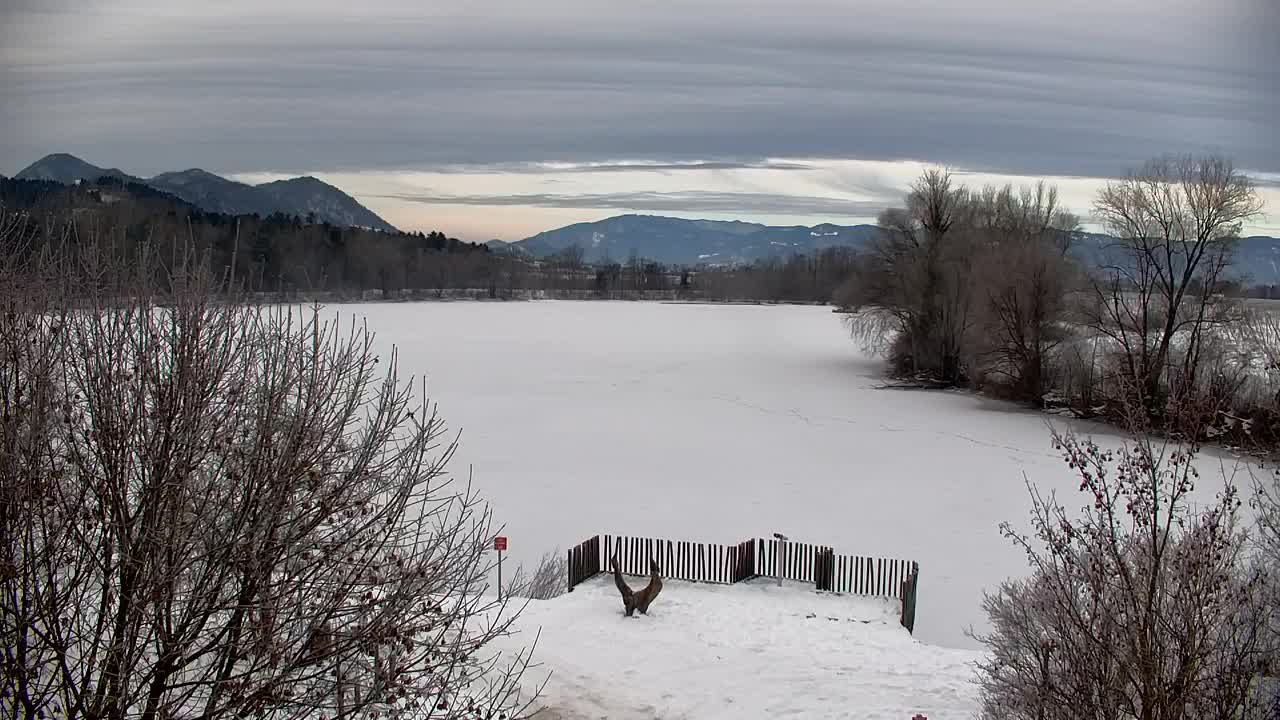 Webcam Ribnik Vrbje – Žalec