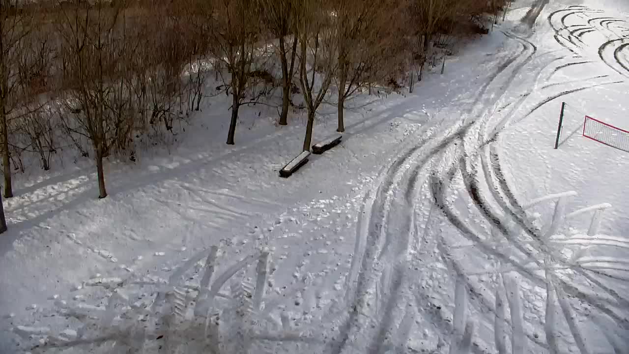 Spletna kamera Ribnik Vrbje – Žalec