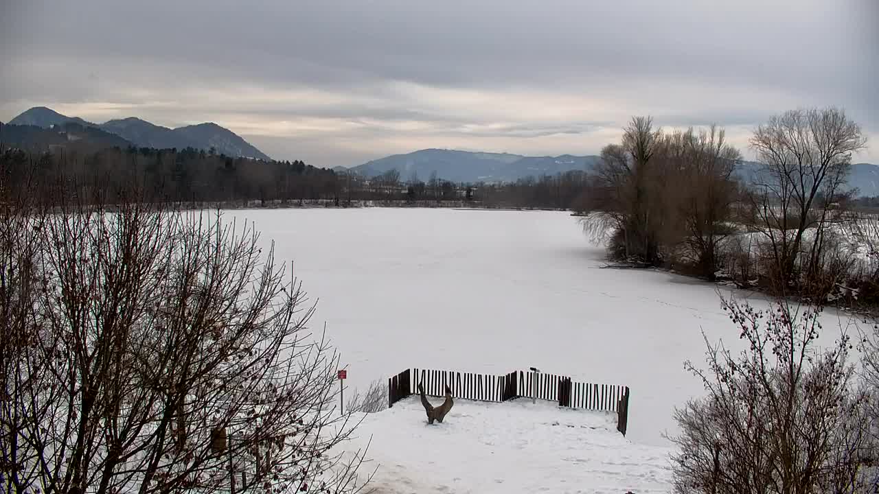 Webcam Ribnik Vrbje – Žalec