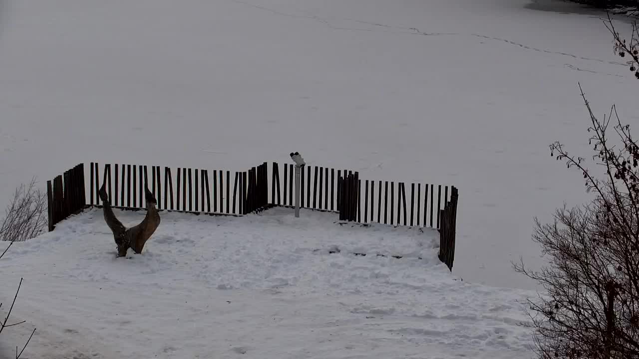 Spletna kamera Ribnik Vrbje – Žalec