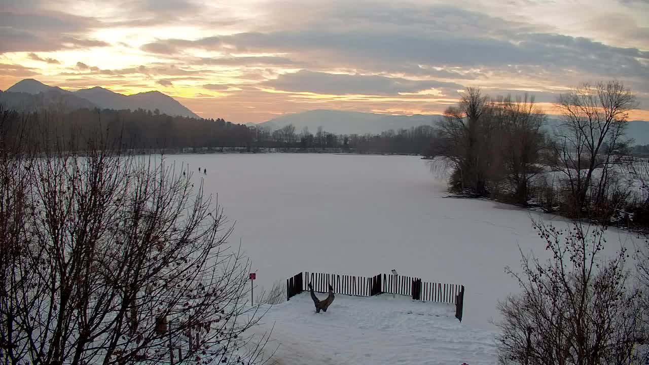 Webcam Ribnik Vrbje – Žalec