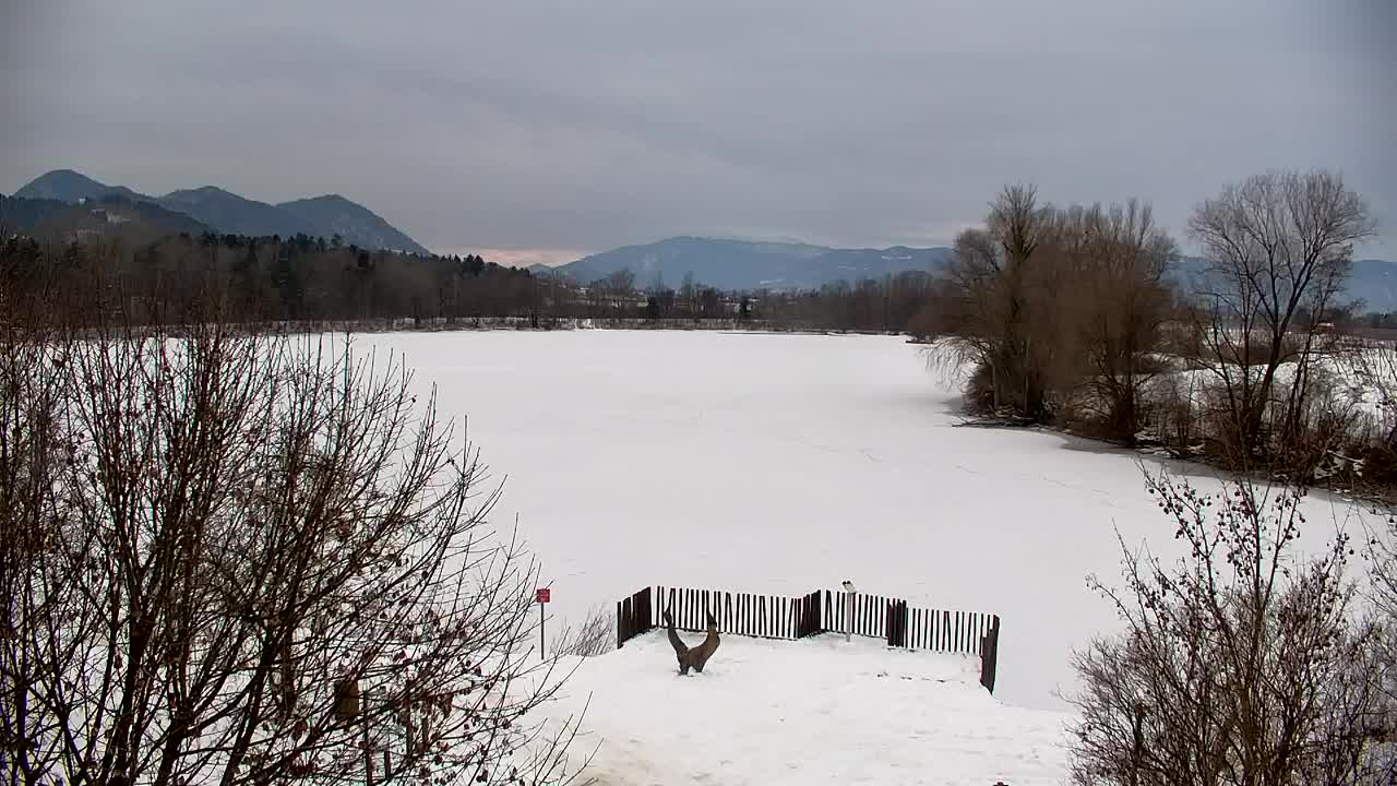 Webcam Ribnik Vrbje – Žalec