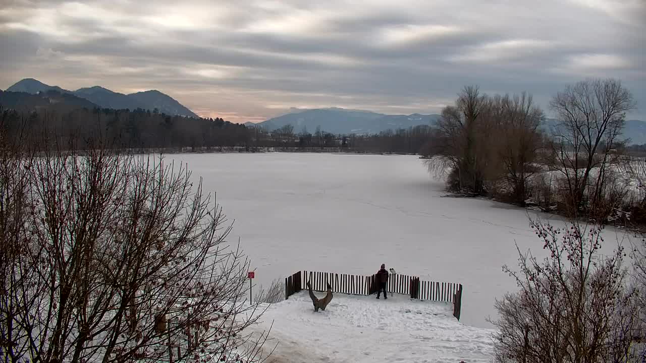Spletna kamera Ribnik Vrbje – Žalec