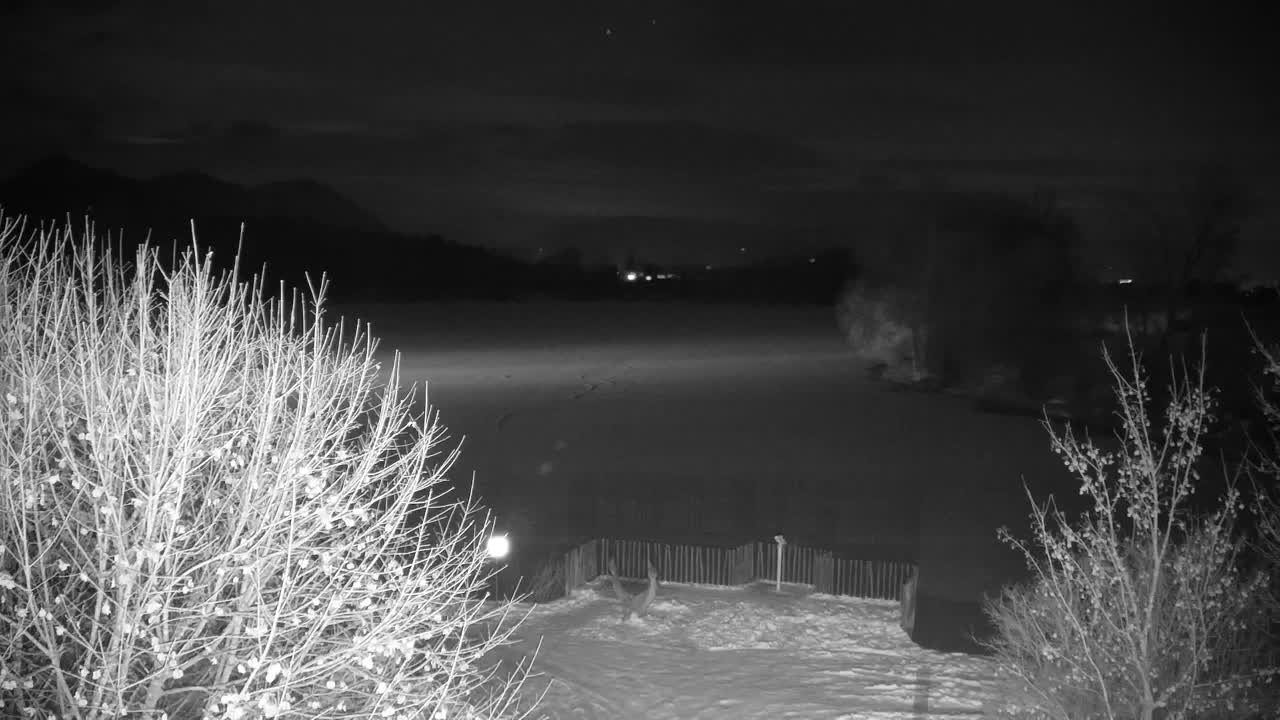 Webcam Ribnik Vrbje – Žalec