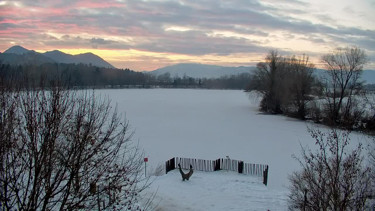 Webcam Ribnik Vrbje – Žalec