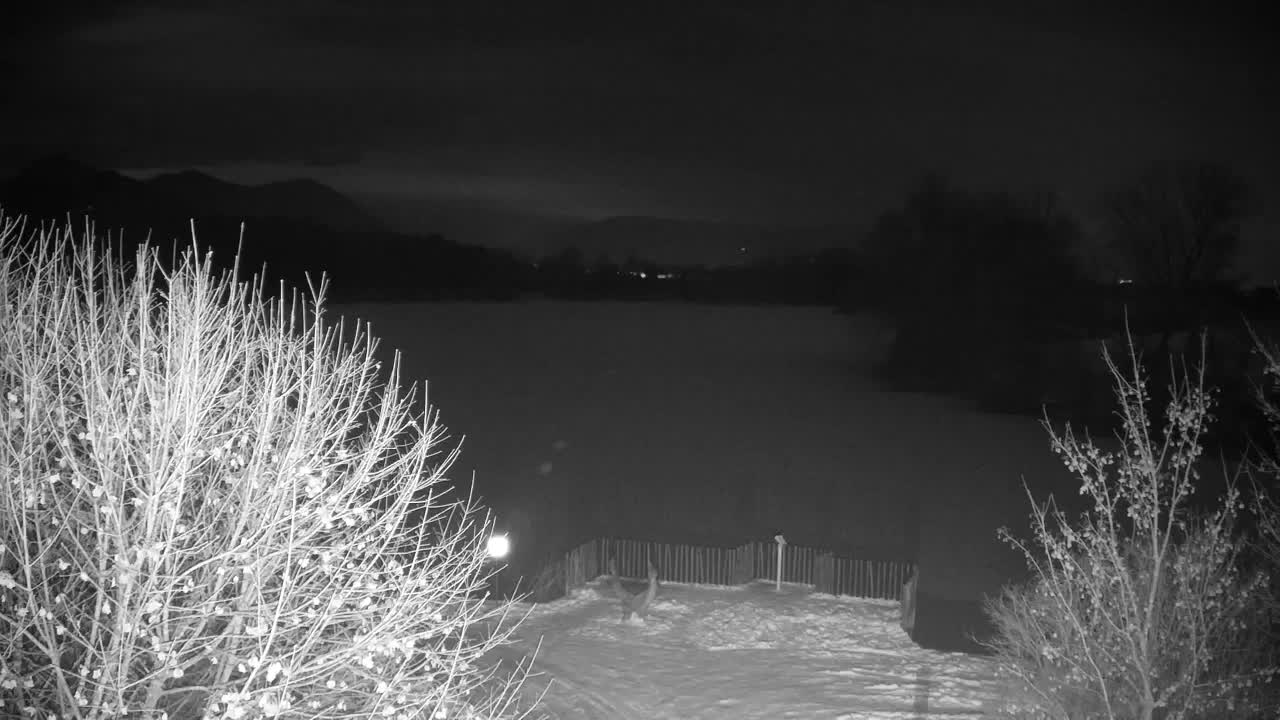 Webcam Ribnik Vrbje – Žalec