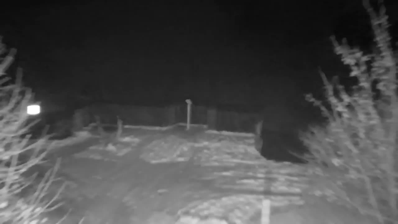 Webcam Ribnik Vrbje – Žalec