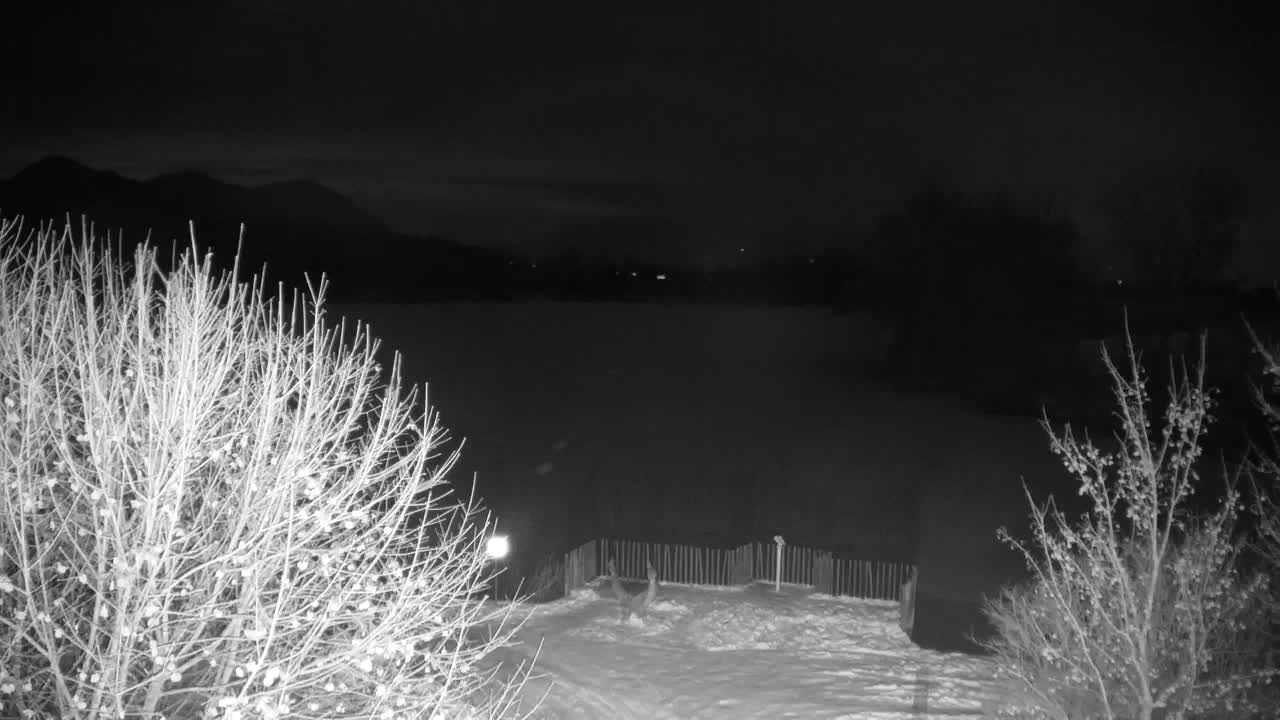 Webcam Ribnik Vrbje – Žalec