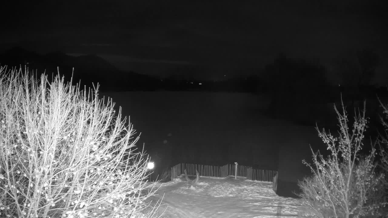 Webcam Ribnik Vrbje – Žalec