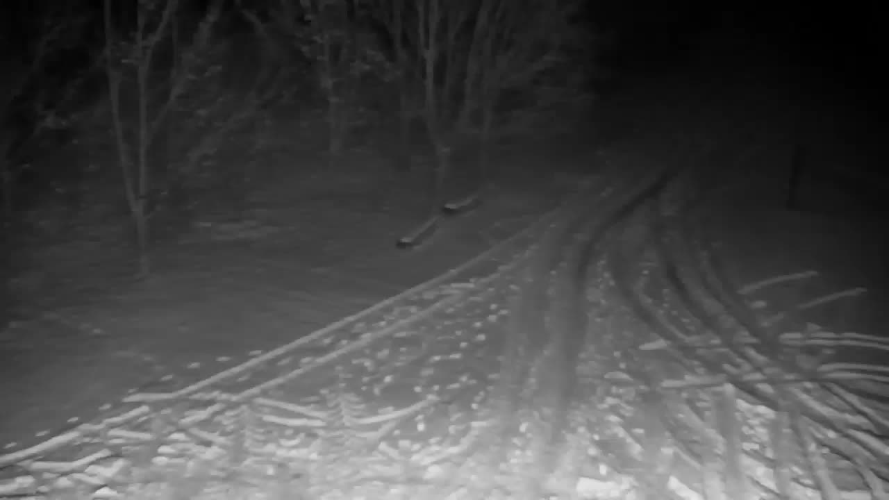 Webcam Ribnik Vrbje – Žalec