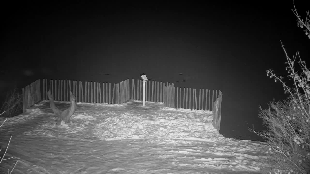 Web kamera Ribnik Vrbje – Žalec