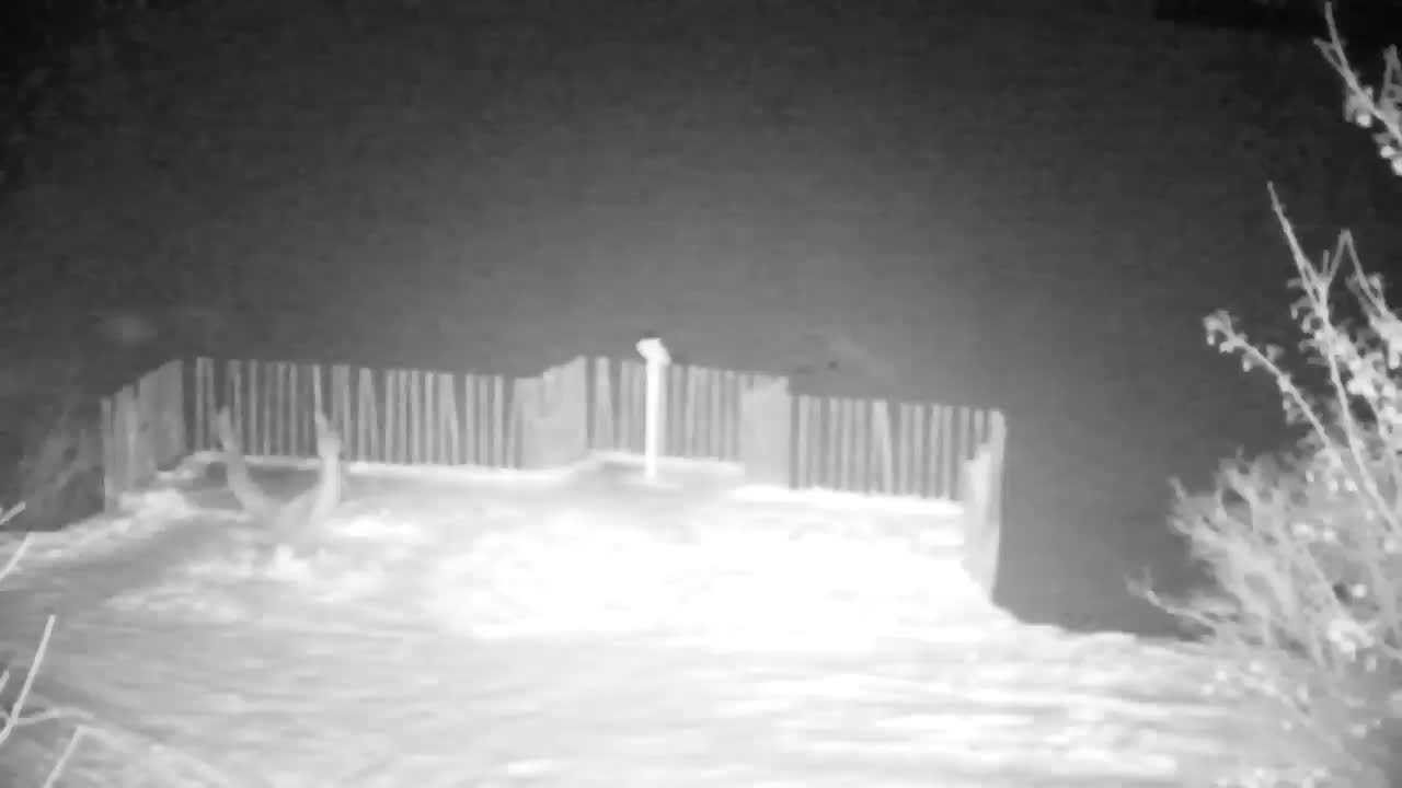 Webcam Ribnik Vrbje – Žalec