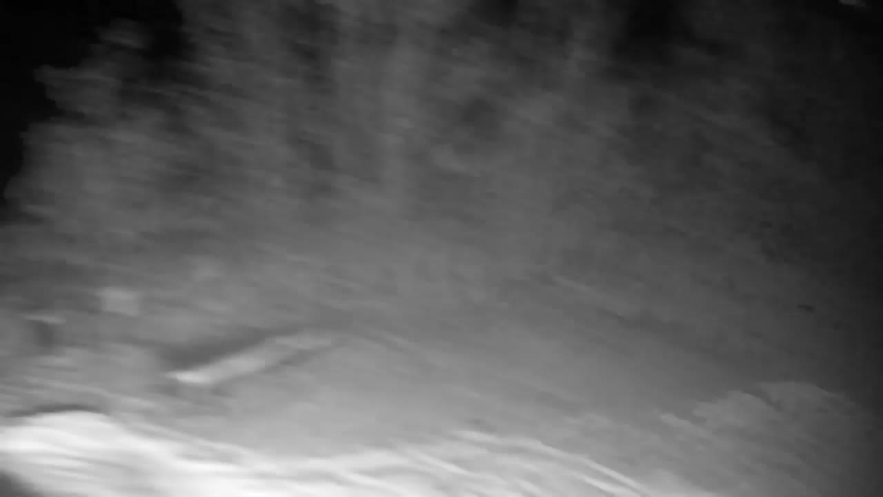 Webcam Ribnik Vrbje – Žalec