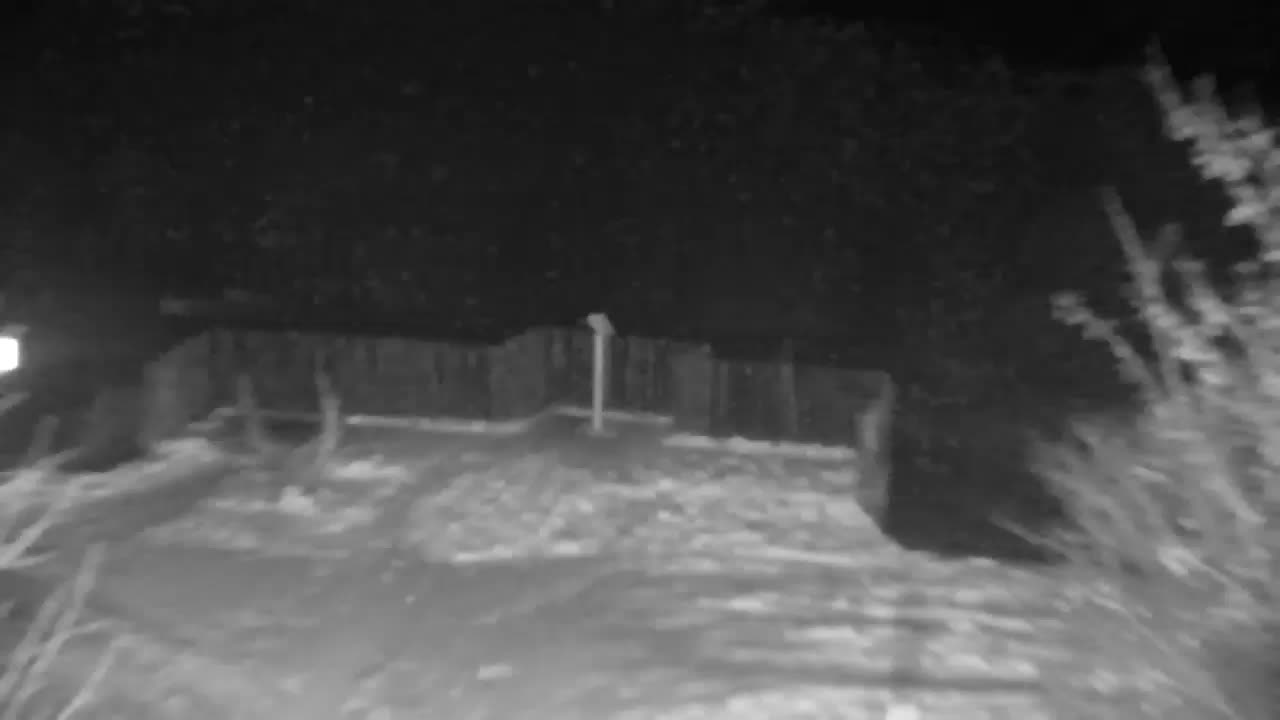 Webcam Ribnik Vrbje – Žalec