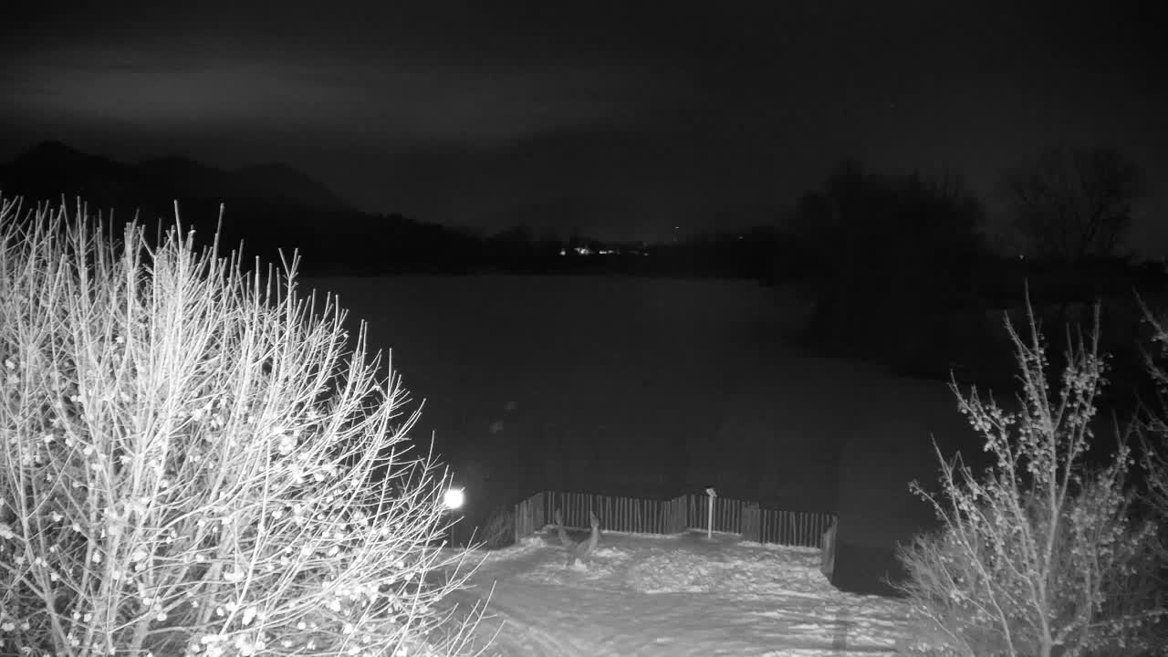 Webcam Ribnik Vrbje – Žalec