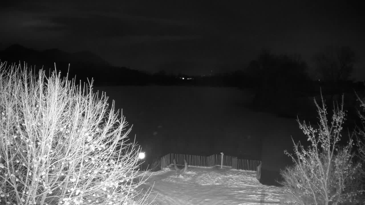 Webcam Ribnik Vrbje – Žalec