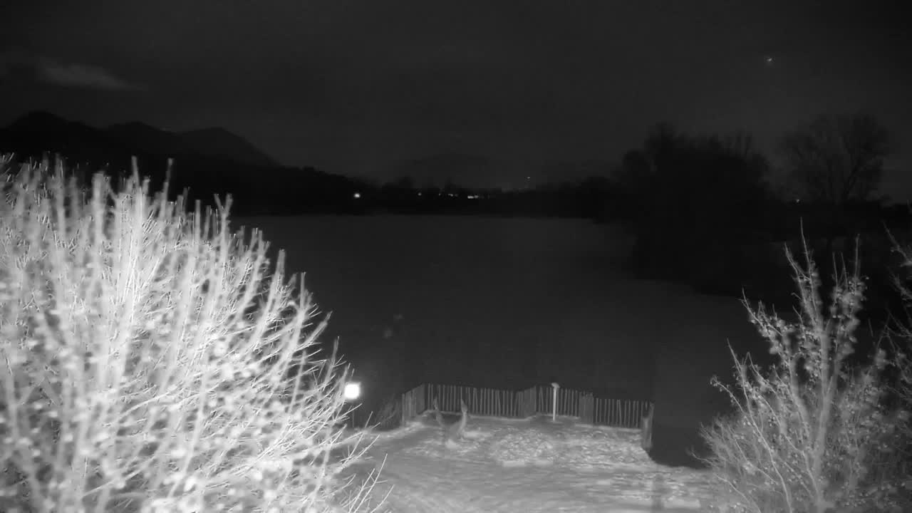 Spletna kamera Ribnik Vrbje – Žalec