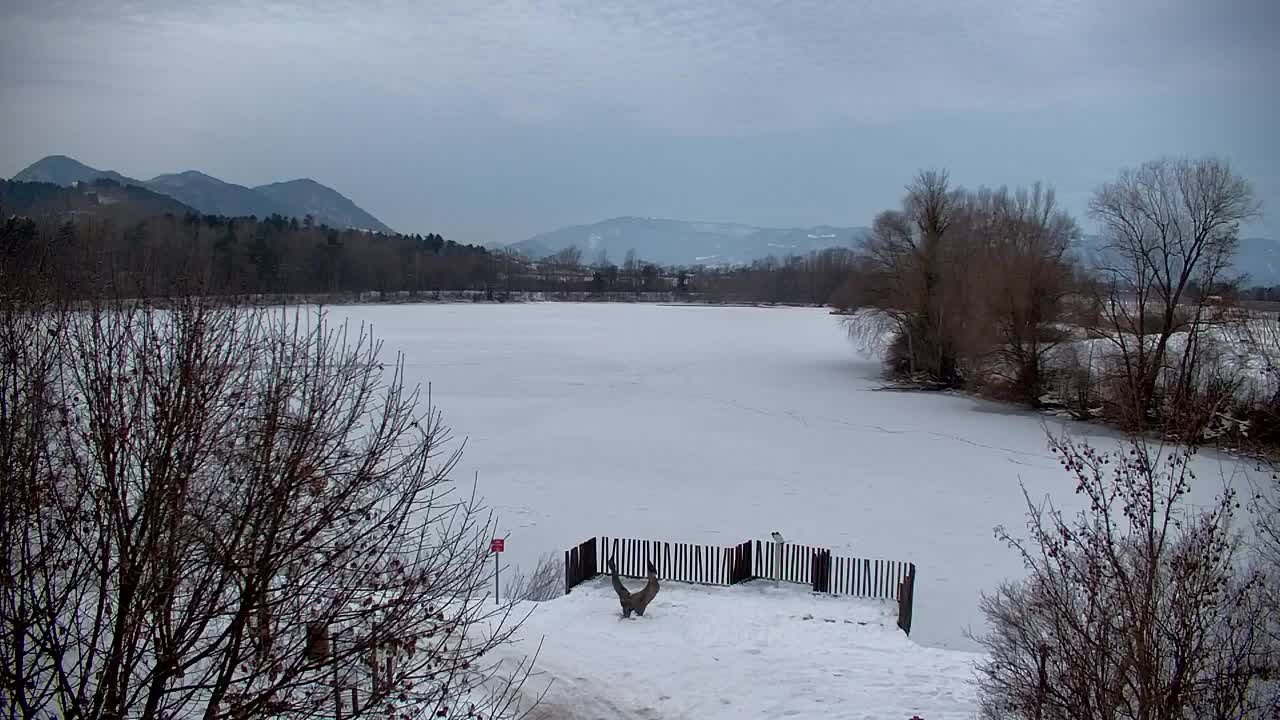 Webcam Ribnik Vrbje – Žalec