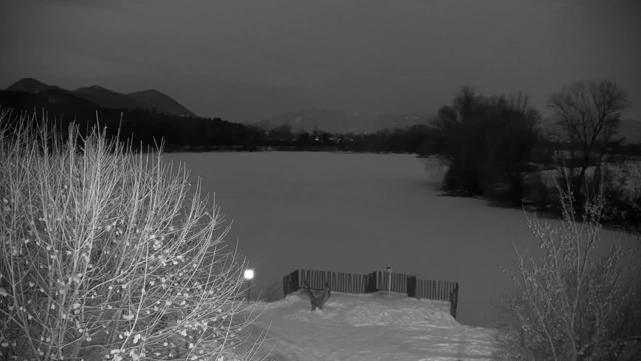 Webcam Ribnik Vrbje – Žalec