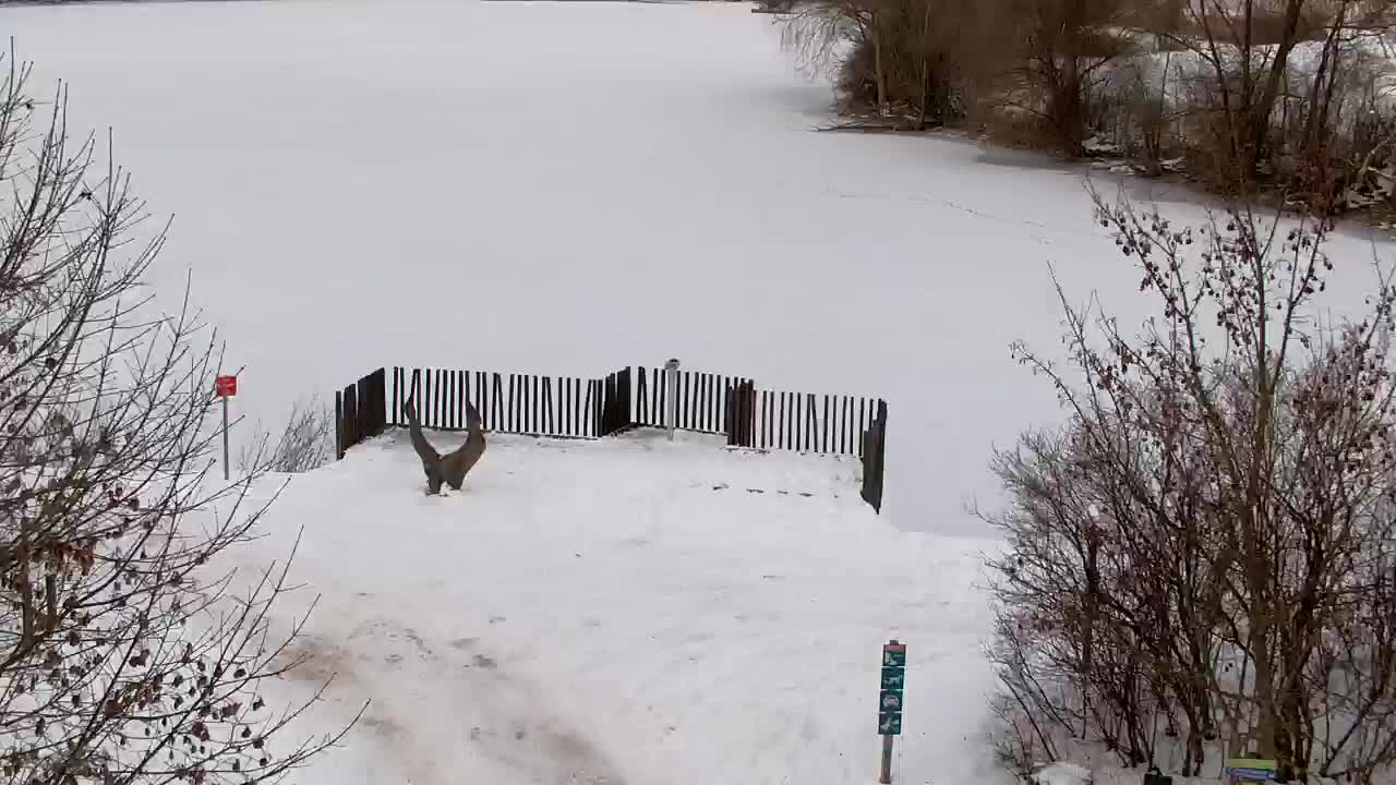 Webcam Ribnik Vrbje – Žalec