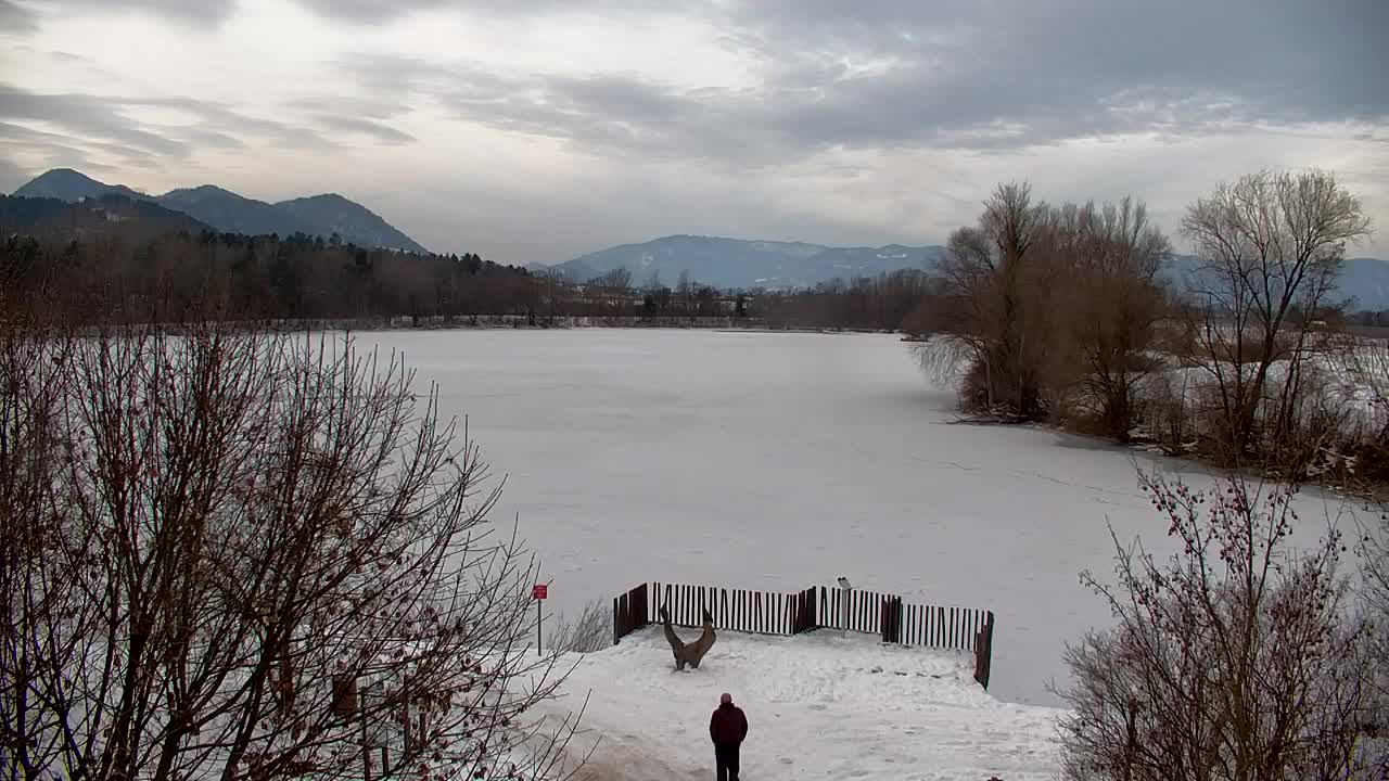 Webcam Ribnik Vrbje – Žalec