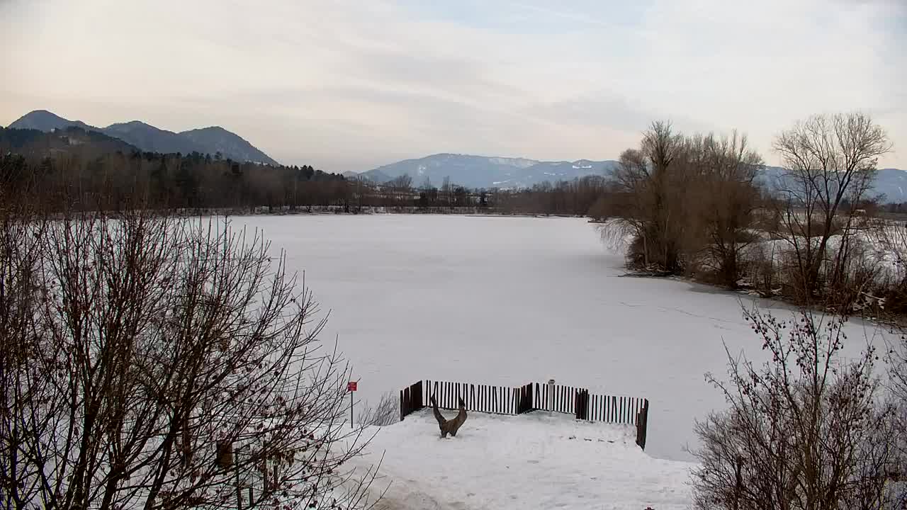 Spletna kamera Ribnik Vrbje – Žalec